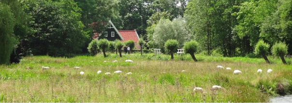 Wandelen De Loet